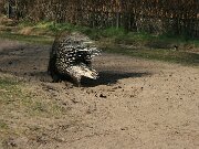 IMG_7317