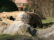 IMG_7318