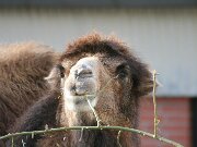 IMG_7319