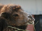 IMG_7320