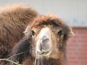 IMG_7321
