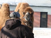 IMG_1393