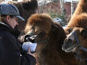 IMG_1396
