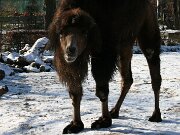 IMG_1397