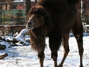 IMG_1398