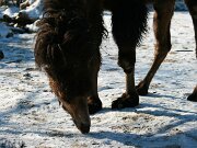 IMG_1399