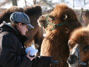 IMG_1402