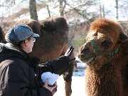 IMG_1403