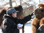 IMG_1404