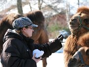IMG_1405