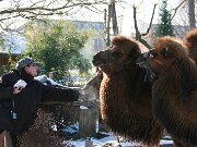 IMG_1406