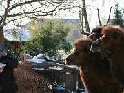 IMG_1407