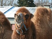 IMG_1410