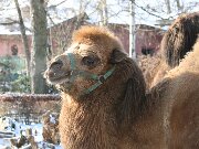 IMG_1411