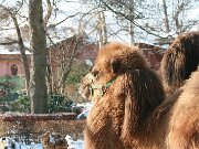 IMG_1412