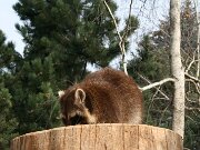 IMG_2794
