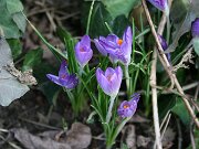 IMG_2803