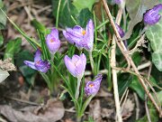 IMG_2804