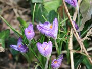 IMG_2805