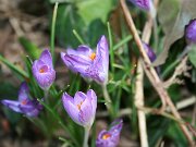 IMG_2806