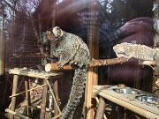 IMG_2808