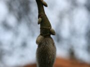 IMG_2813