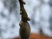 IMG_2814