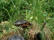 IMG_3349