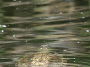 IMG_3357