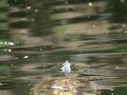 IMG_3358