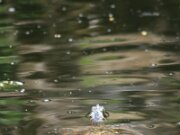 IMG_3359