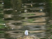 IMG_3360
