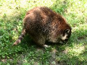 IMG_0743
