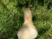 IMG_0744