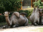 IMG_0749