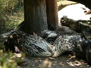 IMG_0755