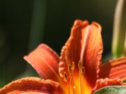 IMG_0759