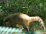 IMG_0879