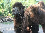 IMG_0001