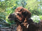 IMG_0002