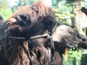 IMG_0007