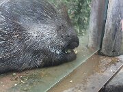 IMG_0010