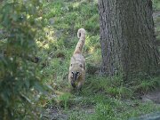 IMG_0011