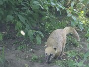 IMG_0013