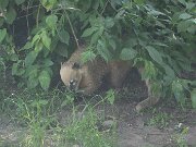 IMG_0015