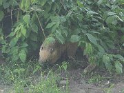 IMG_0016