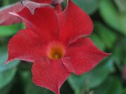 IMG_0022