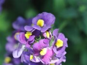 IMG_0023