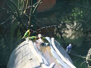 IMG_0026