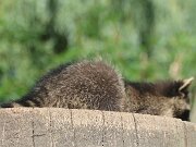 IMG_9307